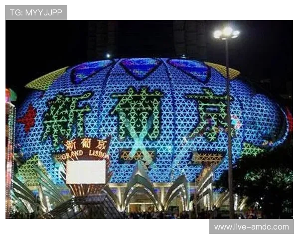 澳门新葡京网址官方入口地址2024年最新安全稳定的登录渠道推荐