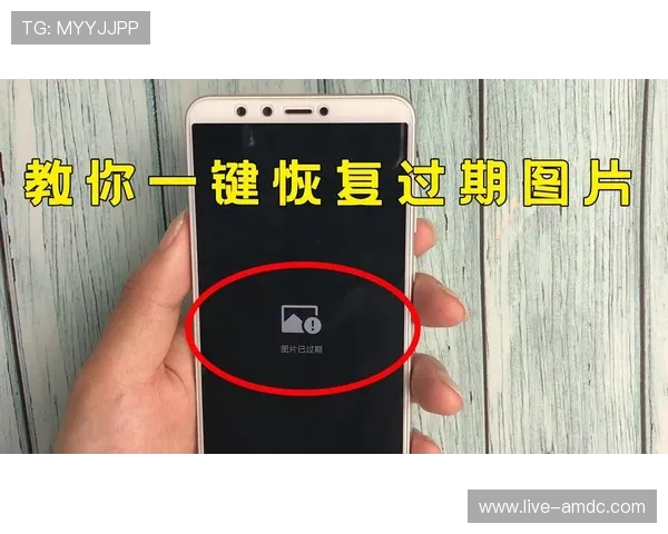 ob真人厅全站登录账号密码忘记怎么办，详细恢复流程帮你轻松找回账户