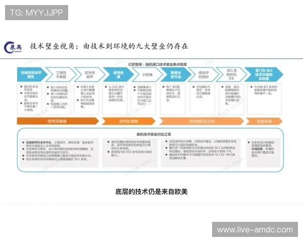 ob视讯行业发展面临的主要挑战与应对措施