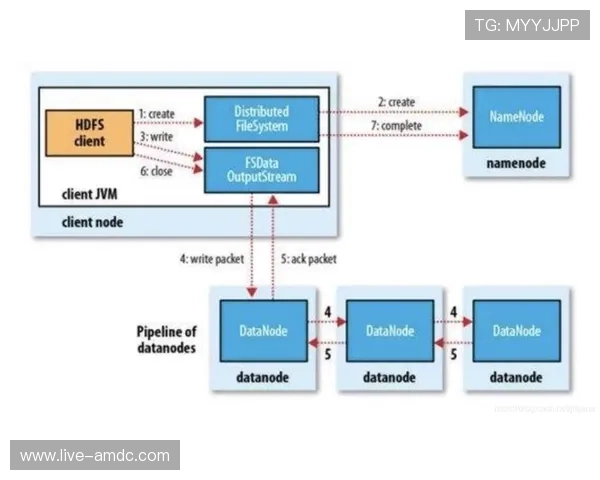 掌握hkjc官网登录常见问题及解决方案，确保顺利进入网站