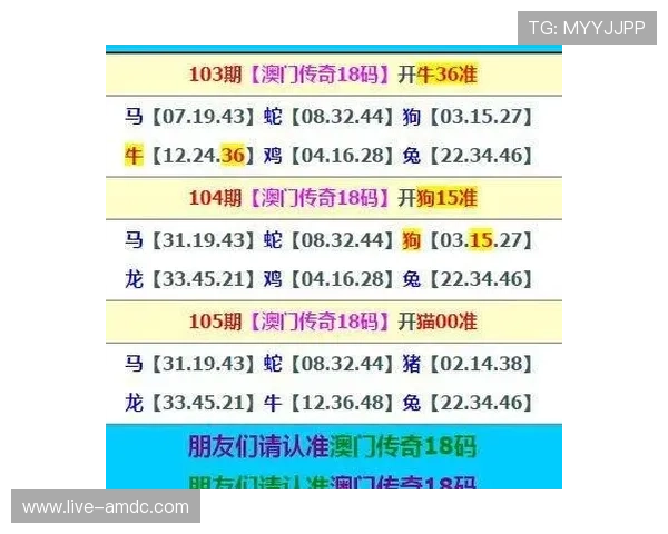 新澳门六官方手机版：澳门六官方手机版多平台兼容使用的操作体验与优化建议