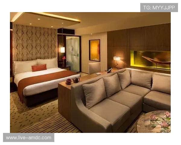 新濠锋娱乐场所怎么样：环境设施优越体验感受如何