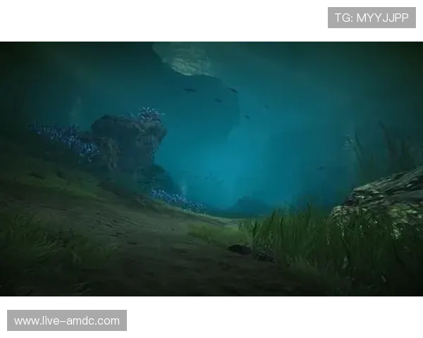 海洋之神入口：进入海底神殿的神秘门扉等待你的开启