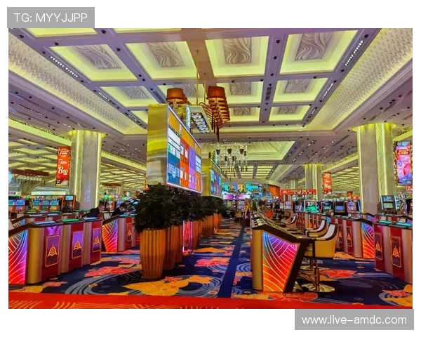 澳门6张赌牌集中在的几家赌场经营规模与牌照授权情况全面解析