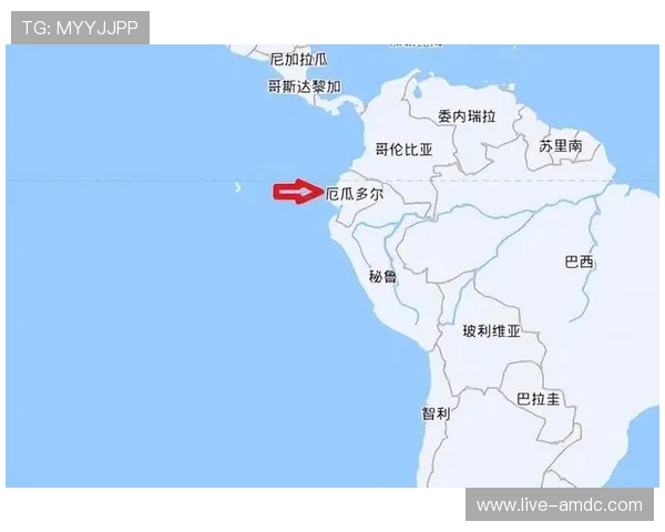 厄瓜多尔对德国世界杯比赛门票价格及优惠政策全面介绍